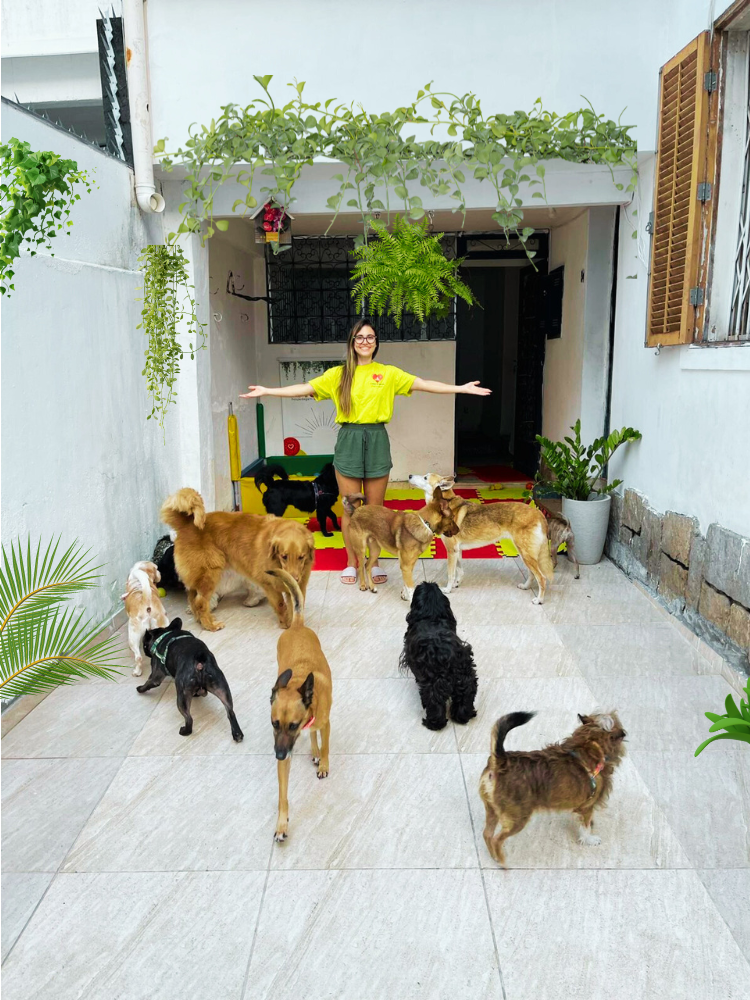 Tia Lu e os dogs!