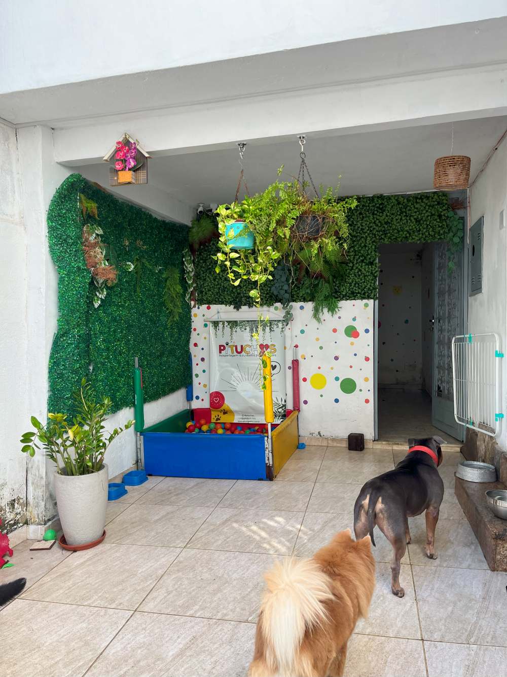 Decoração