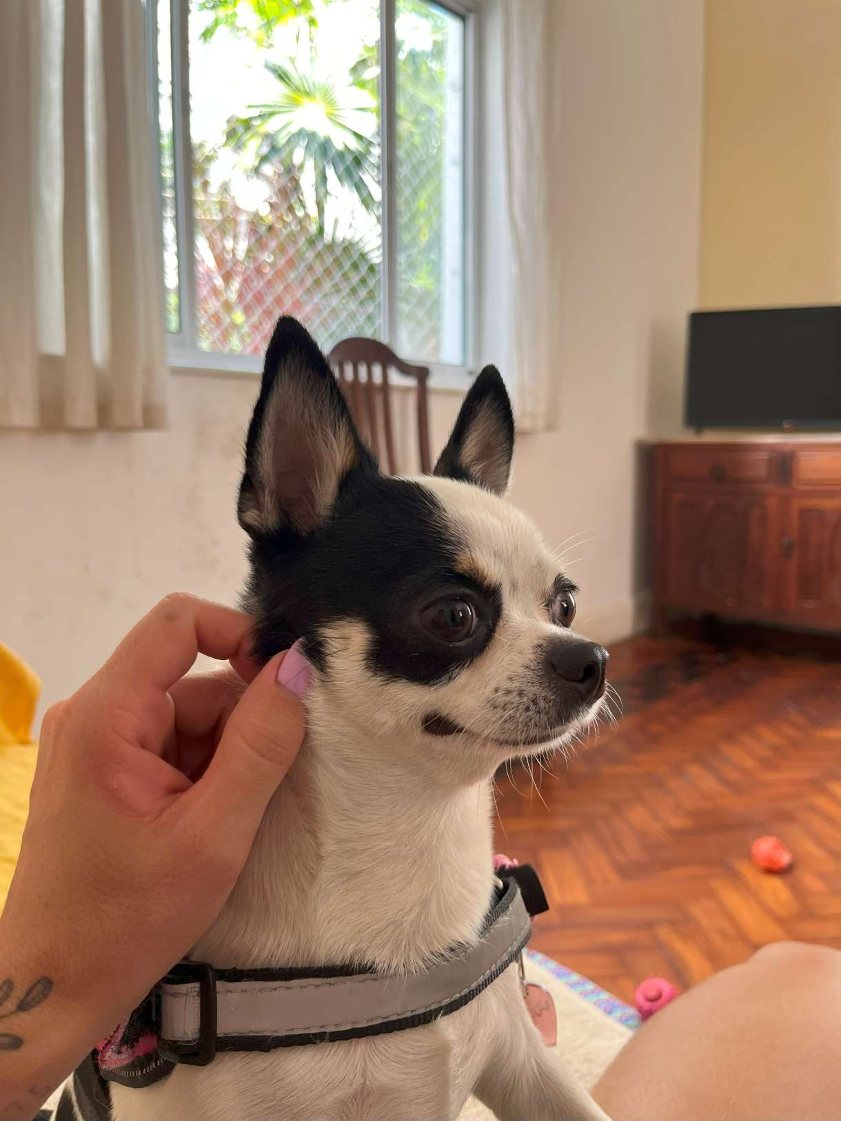 Maria no aconchego :)