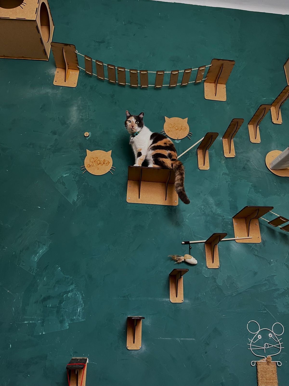 Playgraound Gatos