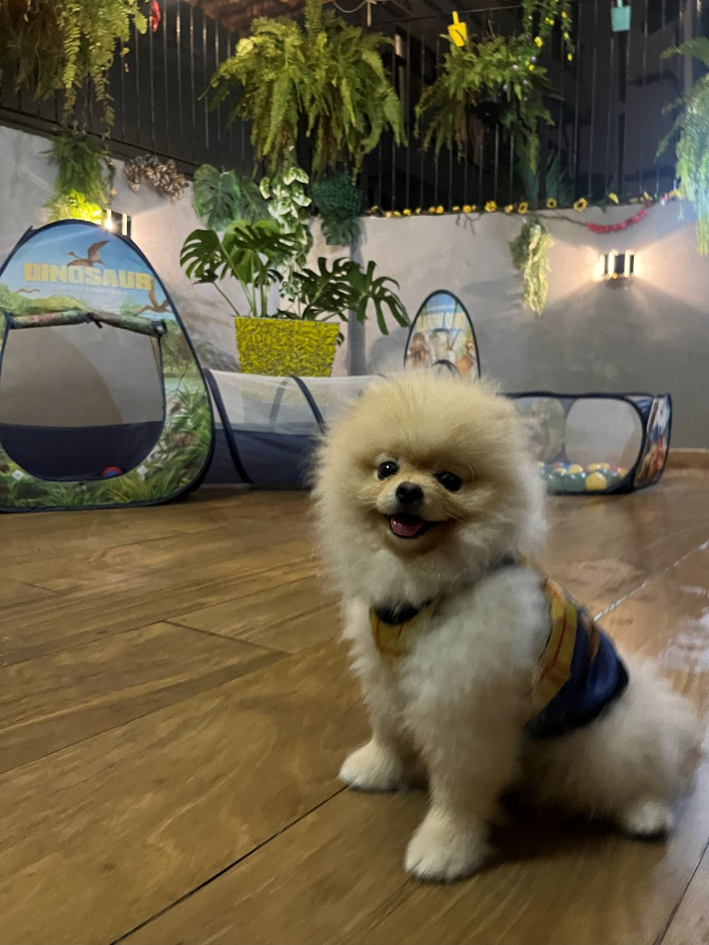 Parquinho❤️ dos Pequenos