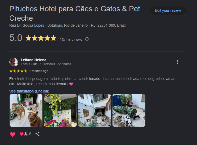 hotel pet em botafogo avaliacoes pituchos