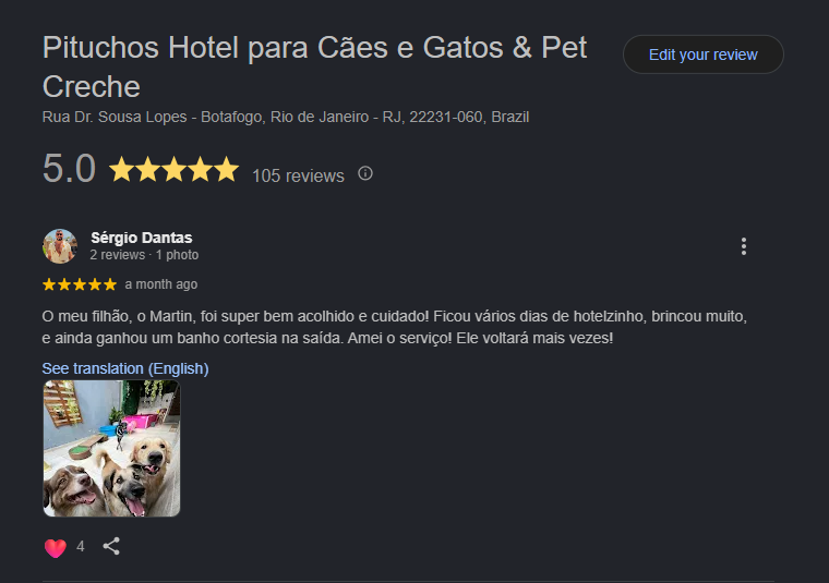 hotel pet em botafogo avaliacoes pituchos
