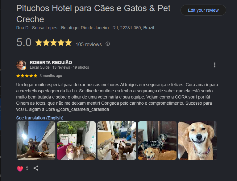hotel pet em botafogo avaliacoes pituchos
