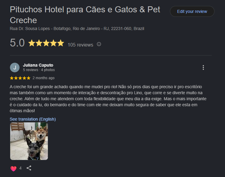 hotel pet em botafogo avaliacoes pituchos