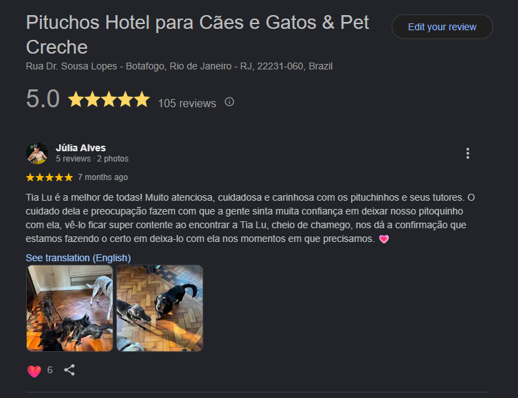 hotel pet em botafogo avaliacoes pituchos