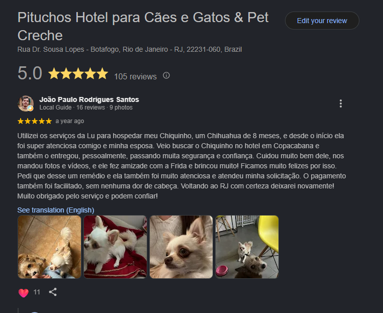 hotel pet em botafogo avaliacoes pituchos